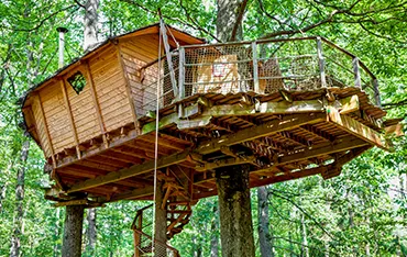 Cabane dans les arbres Cabane dans les arbres