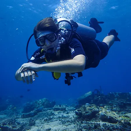 Plongee sous-marine