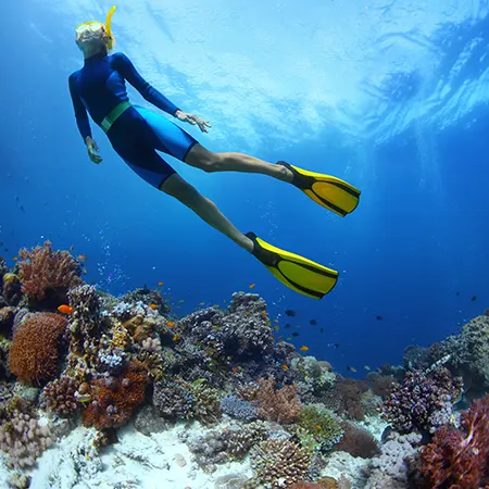 Snorkeling
