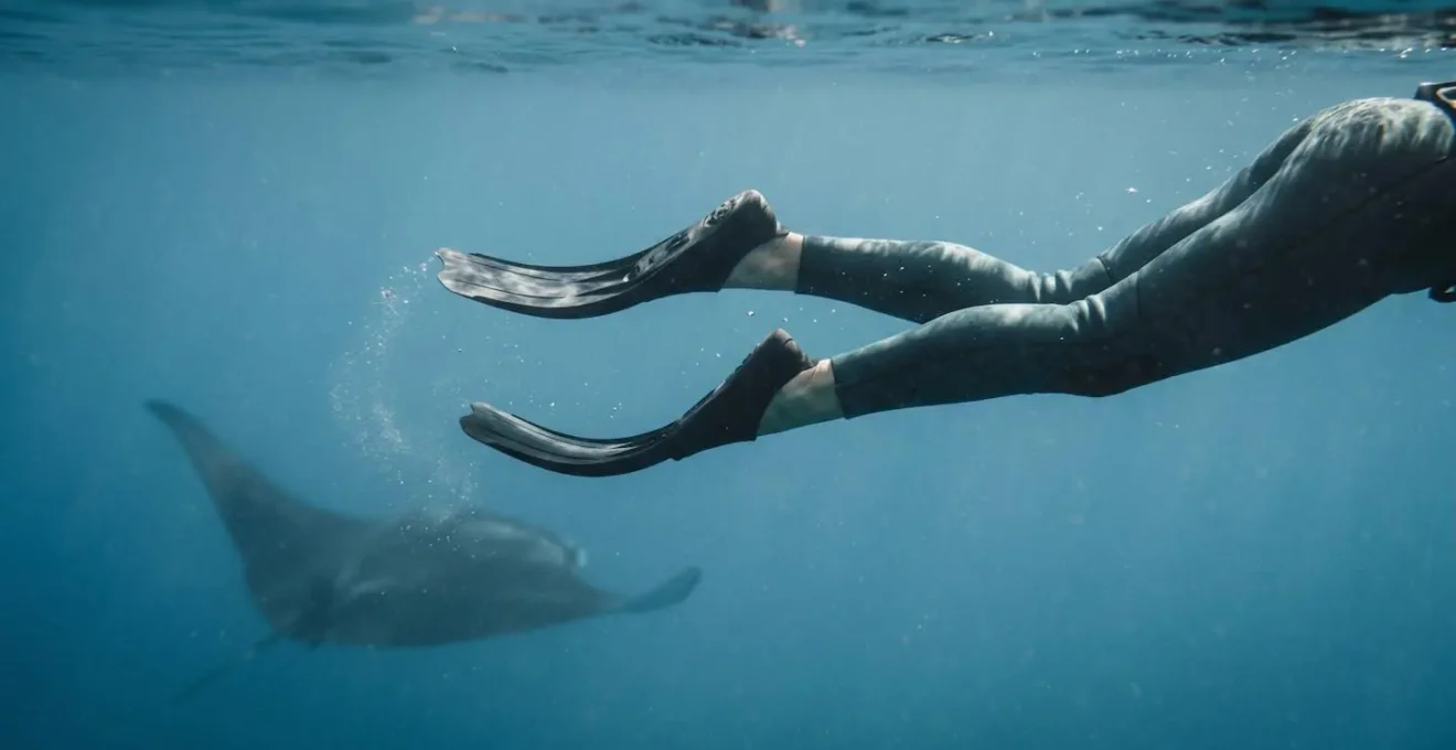Démonstration sous-marine de la technique de palmage minimaliste horizontale près d'une raie manta