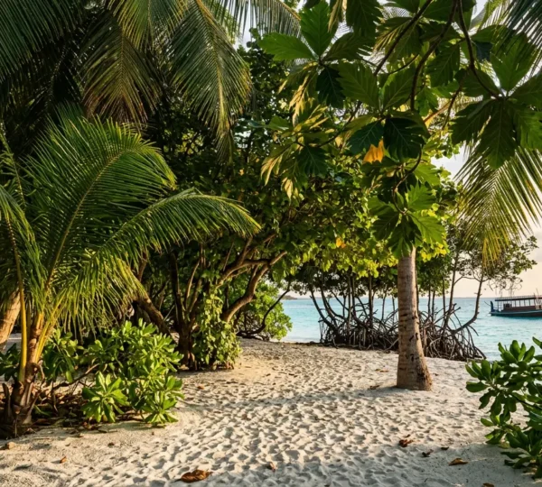Végétation tropicale luxuriante des Maldives avec palmiers et mangroves créant une canopée ombragée naturelle
